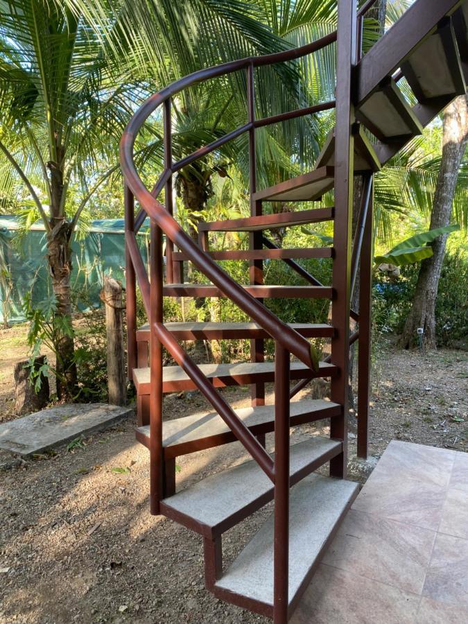 Jazlyn Lodge & Tours Paquera Buitenkant foto
