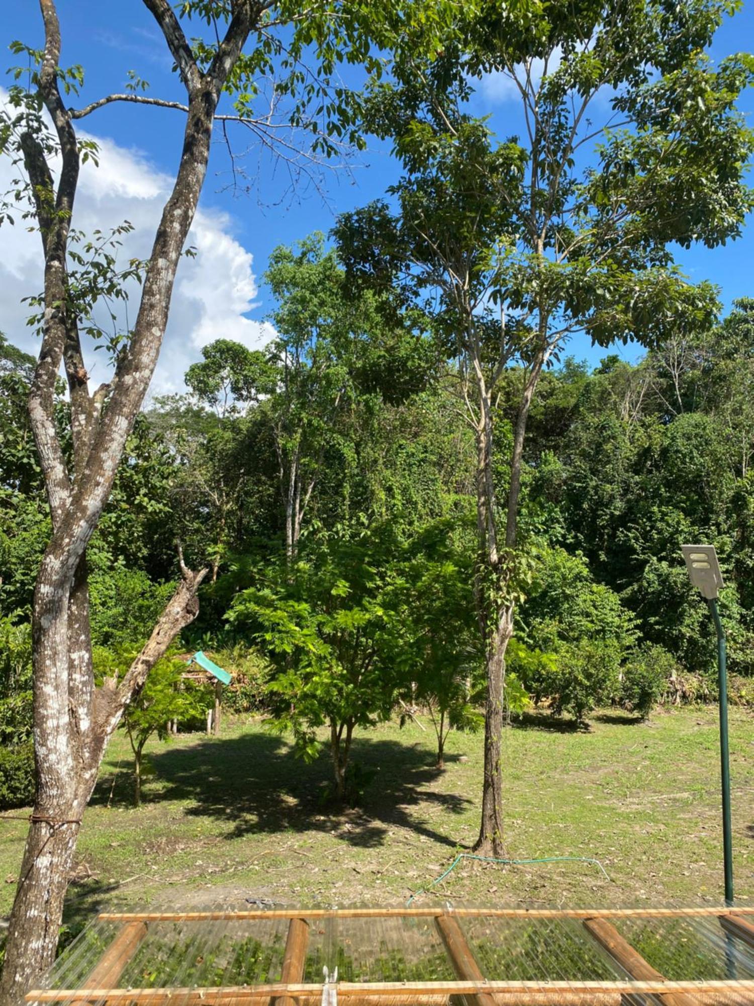 Jazlyn Lodge & Tours Paquera Buitenkant foto
