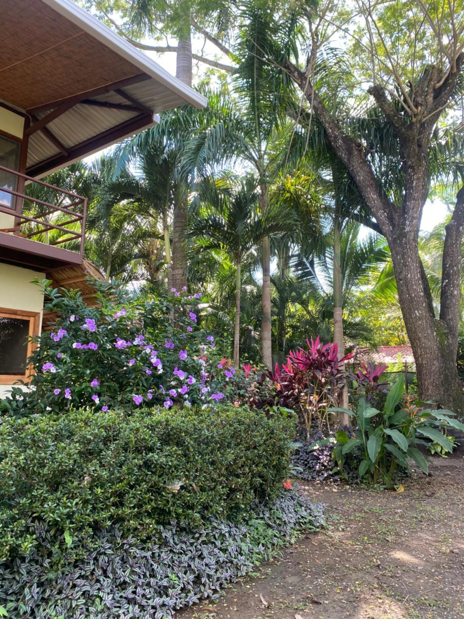 Jazlyn Lodge & Tours Paquera Buitenkant foto